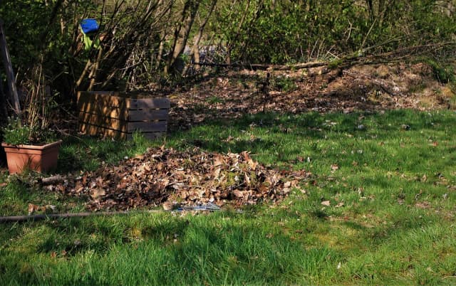 Chwast – jak skutecznie walczyć z niechcianymi roślinami w ogrodzie